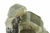 Pristine Fluorapatite Crystals with Arsenopyrite - Portugal #239754-2